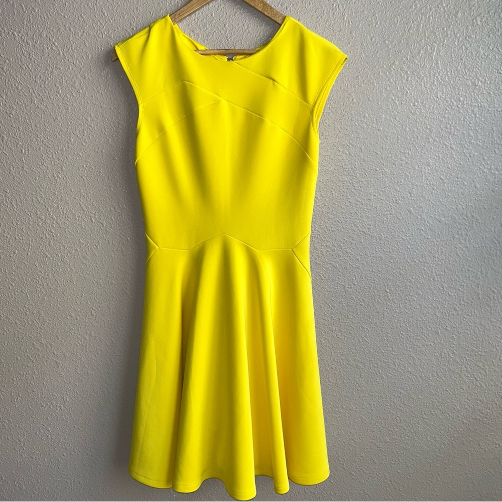 Ted Baker London Sew In Love Yellow Arwyn Panelled Sleeveless Skater‎ Dress - Picture 4 of 13